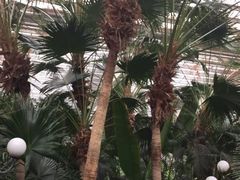-龙达温泉生态城
