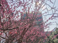 -南京市民俗博物馆(甘熙故居)