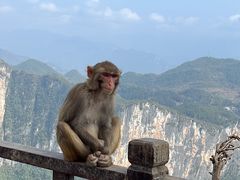 -重庆云阳龙缸景区