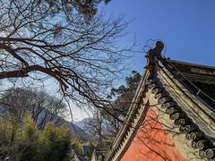 -潭柘寺景区