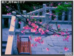 -乌山风景区