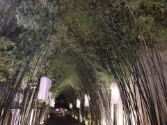 -周日夜市