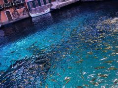 -西安华夏文旅水世界