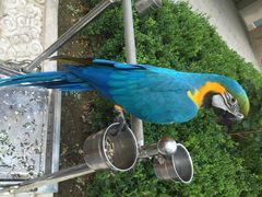 iphone_upload_pic-那家小馆•北京菜•烤鸭(中关村店)