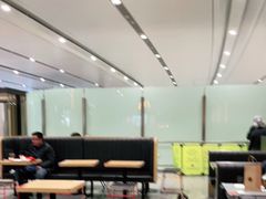 大堂-麦当劳(北京大兴机场二层国内到达(安检外)店)