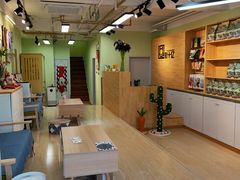 -猫十亿·布偶金渐层·曼基康矮脚猫舍(青年路店)
