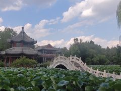 -莲池书院博物馆