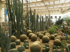 -石家庄市植物园