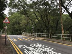 -大埔公路-马料水段香港中文大学(公交站)