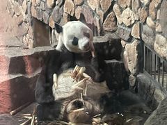 -济南野生动物世界