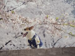 -龙美术馆(西岸馆)