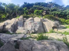 -泰山风景名胜区