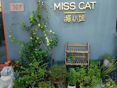 -IFIF 如果花園(宽厚里店)