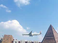 -空港花田景区