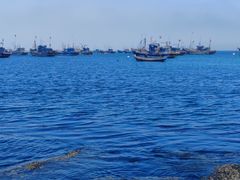 -海源公园