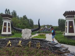 -武清南湖绿博园
