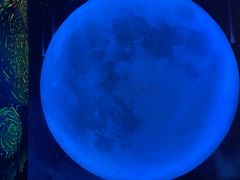 -梵高星空艺术馆(北京旗舰店)