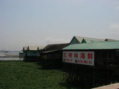 红树林餐厅-海鸥岛