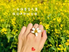 -光明小镇欢乐田园