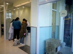 -悦宠凯宝动物医院·牙科·皮肤科(朝阳北路店)
