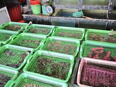 -众味海鲜大排档·活海鲜·潮汕味(南澳店)