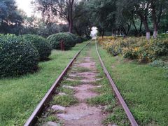 -永定河休闲森林公园