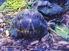 -上海海洋水族馆