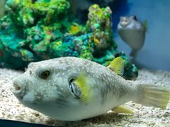 -乌鲁木齐海洋馆