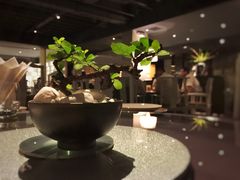 -T館·花园艺术餐厅