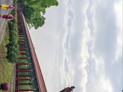 -洪湖生态旅游区