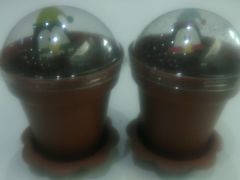 android_upload_pic-蜜津私房蛋糕(缤纷亚洲店)
