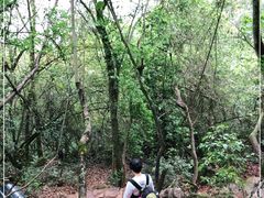 -普者黑风景区-青龙山