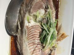 清蒸老虎斑-徐记海鲜(曲江南湖店)