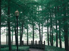 -上海浦江郊野公园-3号停车场