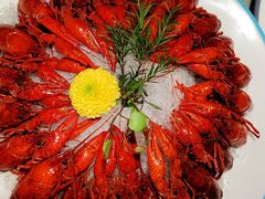 -杨氏青龙虾·羊蝎子(金盛路总店)