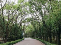 -森林公园(尖草坪区)