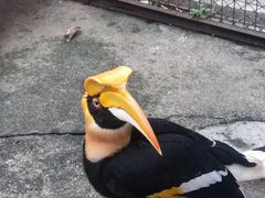 -深圳野生动物园