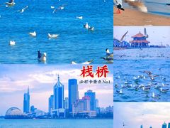 -栈桥景区
