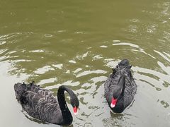 -五台山南京工业大学游泳馆(江浦馆)