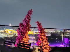 -烛影拾光观景餐厅·创意菜·摄影·小提琴(大唐不夜城店)