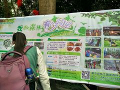 -南宁良凤江国家森林公园