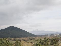 -雪绿茶博物馆