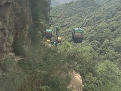 -王顺山国家森林公园