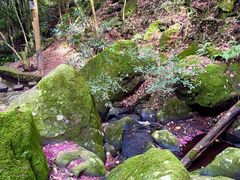 -昆明青龙峡风景区