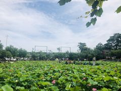 -长安上水缘度假庄园