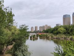 -伊犁河风景区