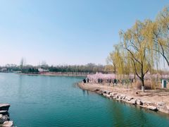 -大兴滨河森林公园