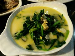 -云中小雅