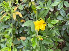 -南京市江宁方山