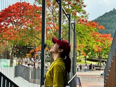 -顺峰山公园